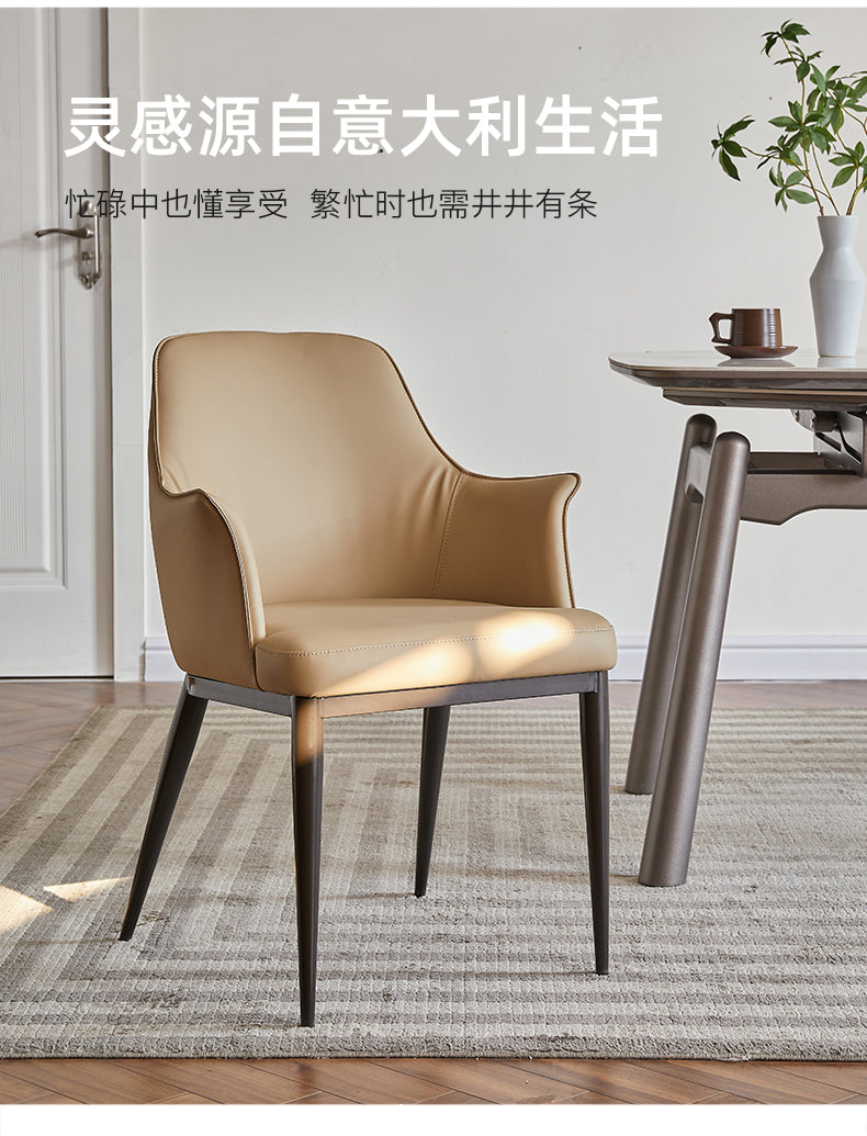 Modern Arm Dining Chair