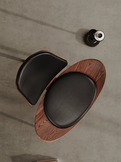 Leisure chair (Aircraft chair)