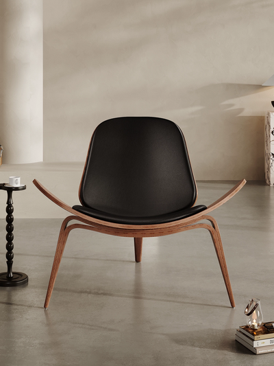 Leisure chair (Aircraft chair)